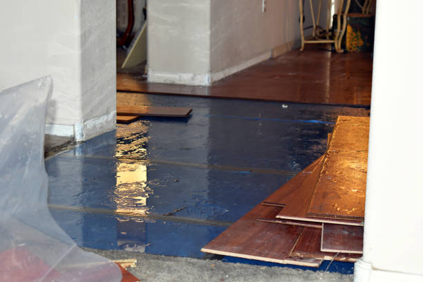 Professional Basement Flooding technician working in Cortland, IL